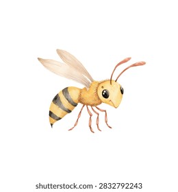 Closeup of a yellow insect bee