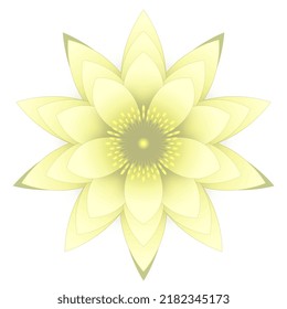 A closeup of a yellow waterlily. Vector.