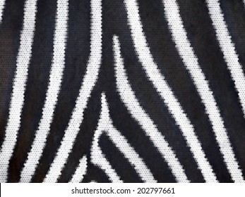 Closeup zebra skin abstract texture. Nature striped pattern for some black and white background. Texture of wild beauty. Example of natural drawing. Animal print. Vector illustration.