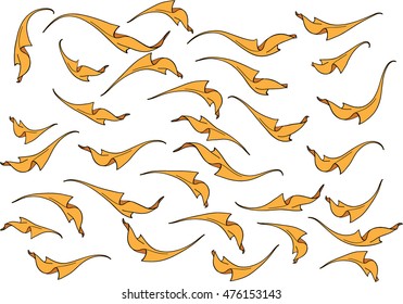Cloth vector drawing design set