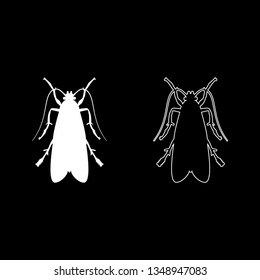 Clothes moth Clothing moth Fly insect pest icon set white color vector illustration flat style simple image