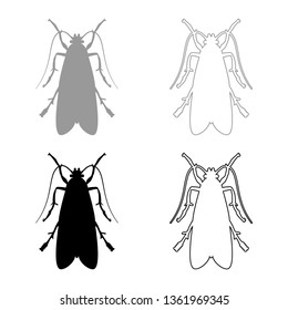 Clothes moth Clothing moth Fly insect pest icon set black