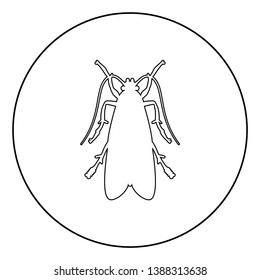 Clothes moth Clothing moth Fly insect pest icon in circle round outline black