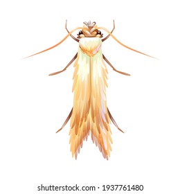 Clothes Moth, Macro Of Insect. Pest Control. Vector Illustration In Cartoon Style, Isolated On White