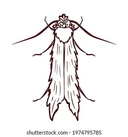 Clothes moth, macro of insect. Pest control. Vector illustration in cartoon style, isolated on white. Monochrome brown outline icon.