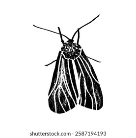 Clothes moth, mol, mole. Moth vector illustration