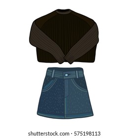 Clothes for women, vector illustration, sweater, skirt