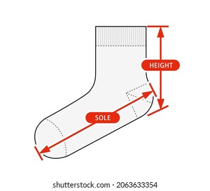 Clothing size chart vector illustration ( Sock )