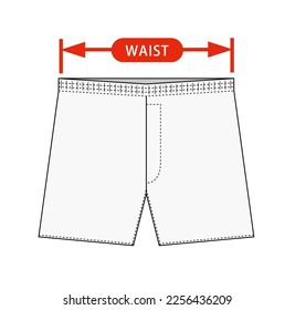 Clothing size chart vector illustration ( underwear, shorts )