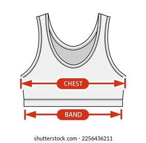 Clothing size chart vector illustration ( Women's sports bra )