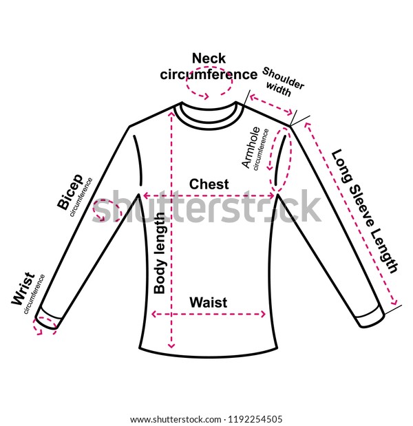 Clothing Sizes Womens Long Sleeves Tops Stock Vector (Royalty Free ...