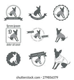 Clothing store for animals logo. Clothing for dogs. Set of pet shop logo, labels and badges.