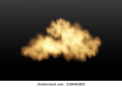 Eine Wolke aus braunem Staub und Sand mit Teilchen fliegenden trockenen Sandes und Schmutz.Trace auf einer staubigen Straße oder Autobahn von einem Auto.Clubs dunklen Rauch.Realistische Illustration auf transparentem Hintergrund.