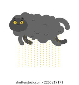 Cloud cat  rain