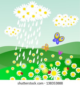 Cloud of daisies with a rain