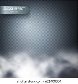 Cloud effect on a transparent vector background realistic. Nebula with background edge. White vector cloudiness, mist or smog background. Vector illustration