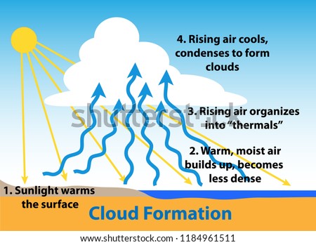 cloud formation science diagram how clouds stock vector royalty cloud formation