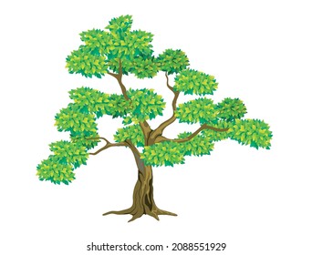 Cloud Pruned Topiary Tree Vector Illustration