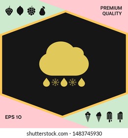 Cloud rain snow icon. Graphic elements for your design