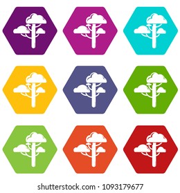 Cloud tree icons 9 set coloful isolated on white for web