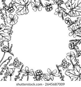Frascos de nuvens e ramos de urze quadrada quadro de vetor monocromático com espaço em branco para texto. Desenho de gravura de baga nórdica para embalagem de medicamento, infográfico de saúde, marca de fitoterapia.