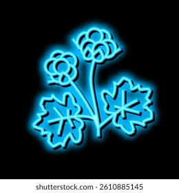 cloudberry berry neon light sign vector. cloudberry berry illustration