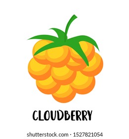 Cloudberry berry yellow character with face and smile. Kawaii sweets and desserts.