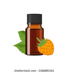 Cloudberry essential oil in brown glass bottle, herbal alternative medicine treatment product, vector Illustration on white background