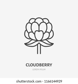 Cloudberry flat line icon, forest berry sign, healthy food logo. Illustration for natiral food store.