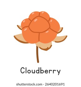 Cloudberry flat vector illustration in cartoon clipart style. Also known as salmonberry, yellowberry, bakeapple, malka, baked apple berry, Nordic berry, knotberry, aqpik, bakeapple, averin berry
