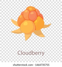 Cloudberry icon. Isometric illustration of cloudberry vector icon for web
