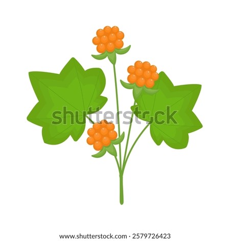 Cloudberry isolated on a white background. Orange berries and green leaves in flat style. Nord berries. Vector illustration, colored icon, design element.