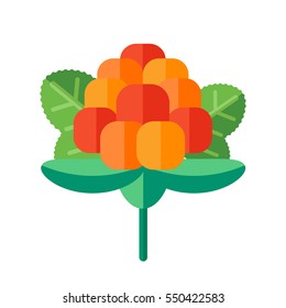 Cloudberry with leaves vector illustration. Superfood creeping raspberry icon with yellow orange berries. Healthy detox natural bakeapple or salmonberry. Flat design organic food.