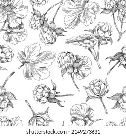 Cloudberry plant seamless pattern, sketch vector illustration on white background. Hand drawn delicious verry with leaves, botanical elements with engraving.