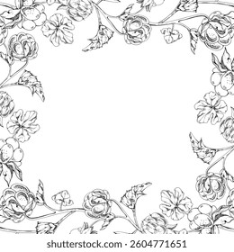 Cloudberry raspberry on stems with plant leaves hand drawn vector ink, line ripe forest berry. Isolated botanical illustration square frame corner. Restaurant, cafe menu, farmers market, recipe book