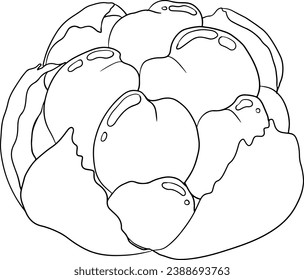 Cloudberry vector, line drawing. Organic berry superfood. Hand drawn icon for label, poster, packaging design or coloring pages