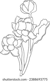 Vector de nubes, dibujo de líneas. Supercomida de bayas orgánicas. Icono dibujado a mano para páginas de etiquetas, afiches, diseño de empaque o color