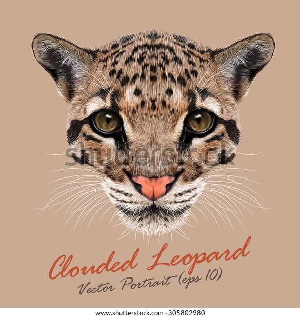 Clouded Leopard Animal Face Vector Asian Stock Vector Royalty Free 305802980