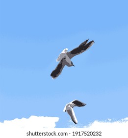 In the cloudless sky, two seagulls demonstrate aerobatics
