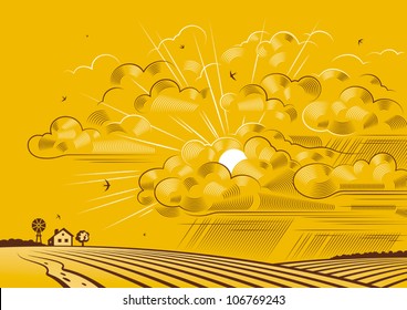 Clouds over fields. Vector