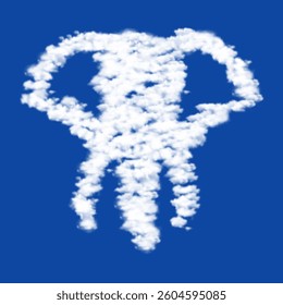 Clouds in the shape of a elephant head on a blue sky background. A symbol consisting of clouds in the center. Vector illustration on blue background