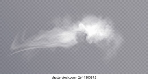 Clouds of white smoke or steam with realistic texture on transparent background. Vector smoke to simulate fog, cold breath, magic effect or explosion.