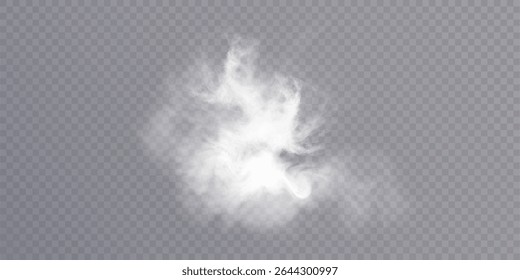 Clouds of white smoke or steam with realistic texture on transparent background. Vector smoke to simulate fog, cold breath, magic effect or explosion.