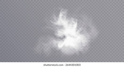 Clouds of white smoke or steam with realistic texture on transparent background. Vector smoke to simulate fog, cold breath, magic effect or explosion.