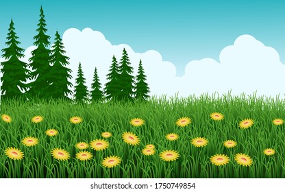 Cloudy day in grass field with pine trees