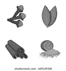 Clove, bay leaf, nutmeg, cinnamon.Herbs and spices set collection icons in monochrome style vector symbol stock illustration web.