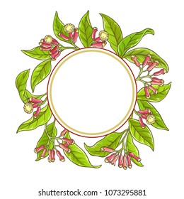 clove  branch  vector frame