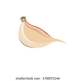 clavo vectorial de ilustración de ajo