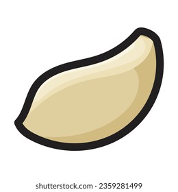 Clove of garlic vector icon.Color vector icon isolated on white background clove of garlic .