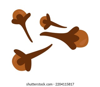 Clove Herb Spice. Vector illustration